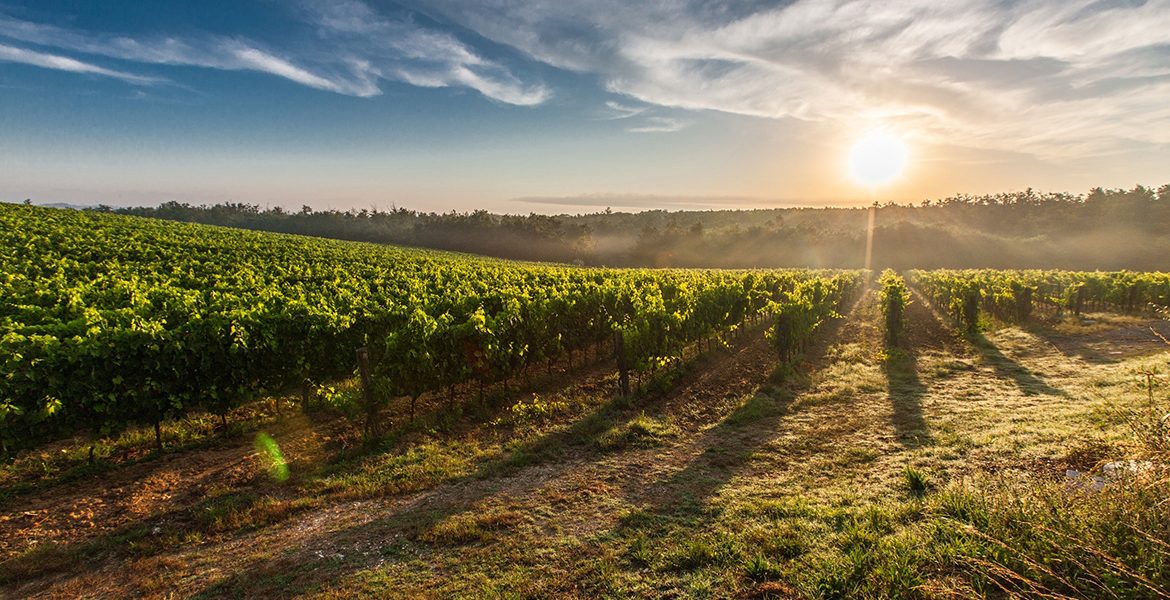 Rota dos Vinhos Verdes