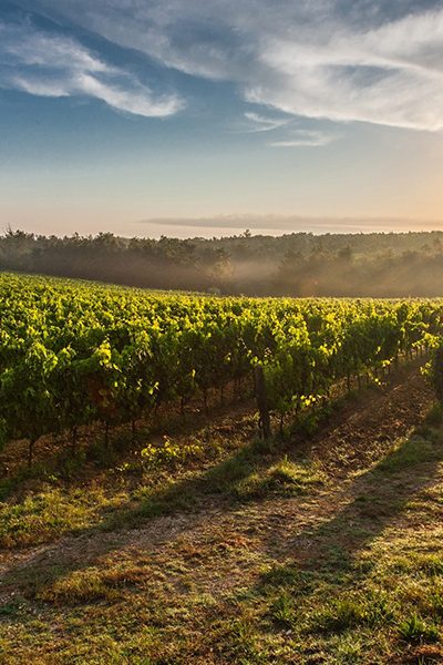 Rota dos Vinhos Verdes